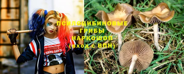 амфетамин Козловка